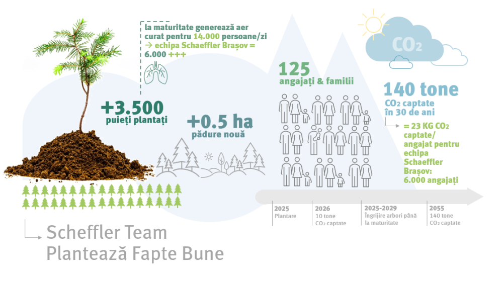 Rezultatele acțiunii Plantam Fapte Bune în Romania by Schaeffler Team