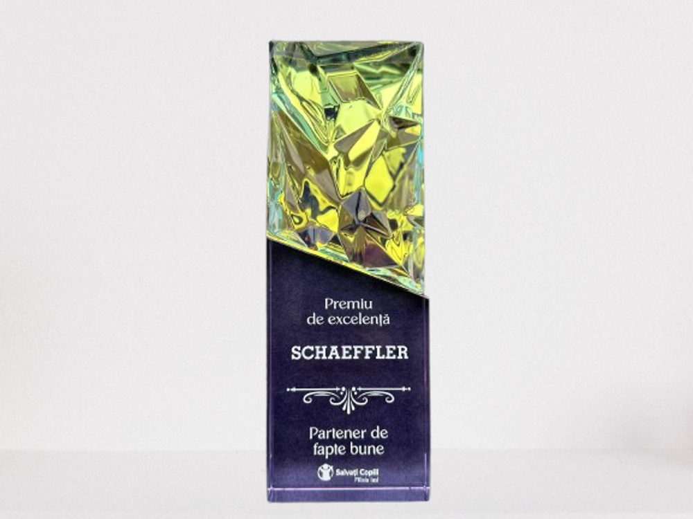 Asociația Salvați Copiii Iași a desemnat organizația Schaeffler Iași ca Partener de Fapte bune în cadrul Galei „Zâmbet în Dar”