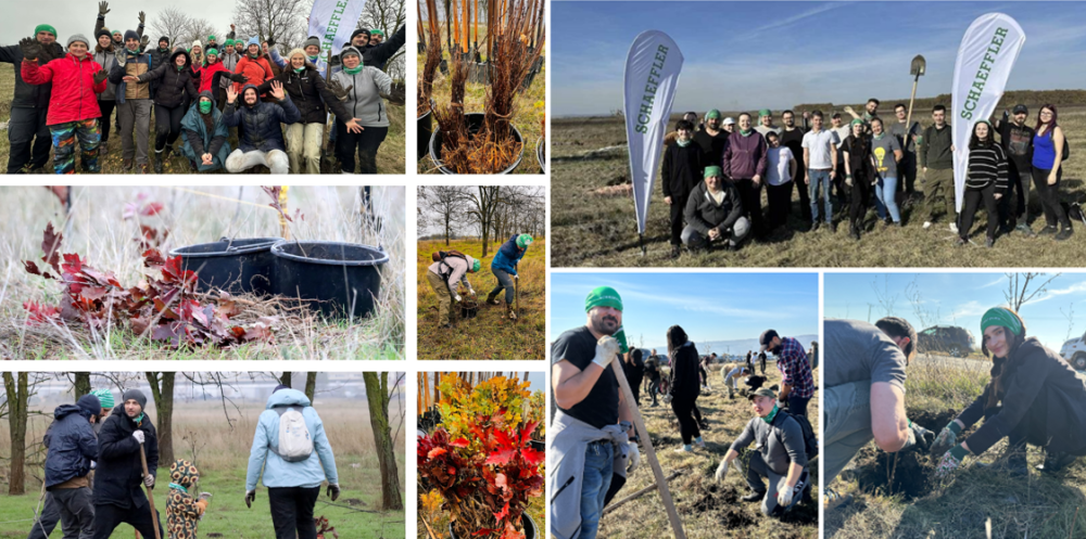 Peste 9000 de puieți plantați în Iași și Timișoara cu Schaeffler: comunități mai verzi și un aer mai curat