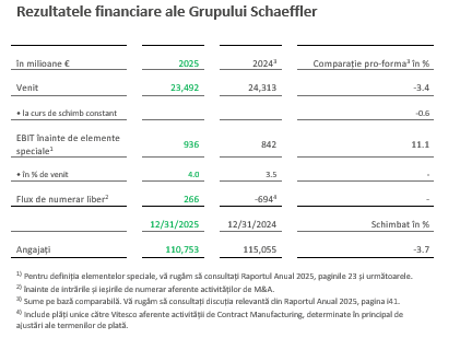 Tabel 1 – Rezultate financiare Schaeffler Group