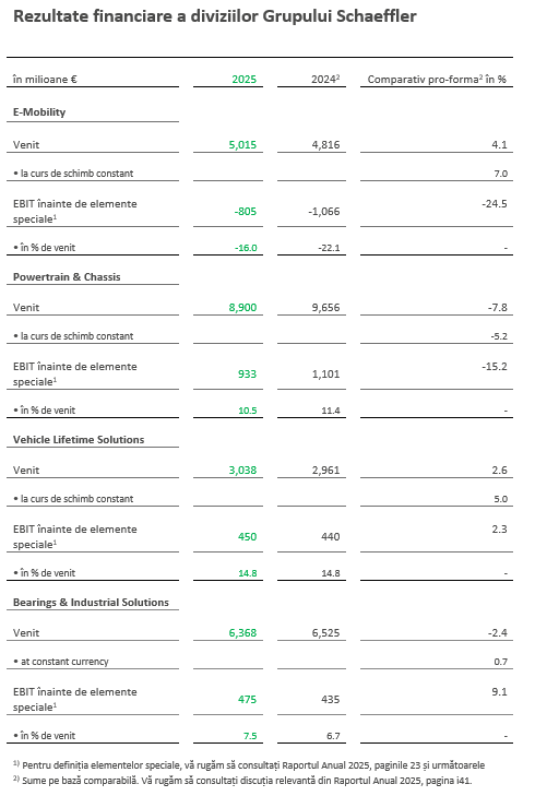 Tabel 2 – Rezultatele Financiare ale Diviziilor
